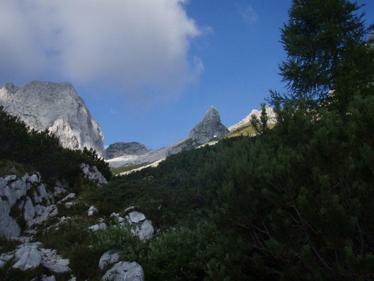 Apartmaji Stari Kovac Bovec Exteriör bild