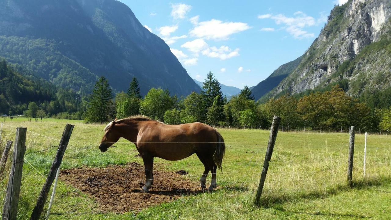 Apartmaji Stari Kovac Bovec Exteriör bild